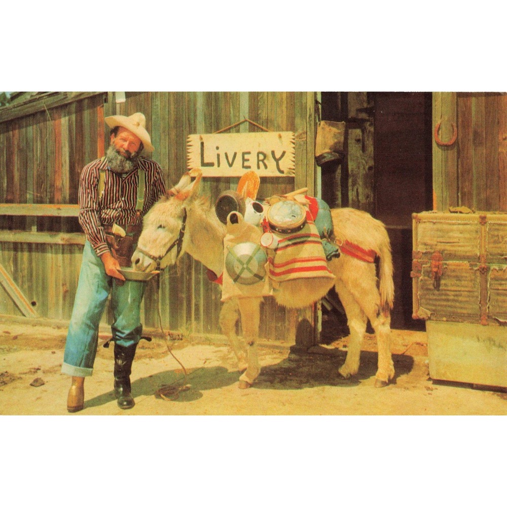 Vintage Peg Leg and Nevada Burro Postcard Virginia City Nevada Mirro-Krome BB-73 - Picture 1 of 2